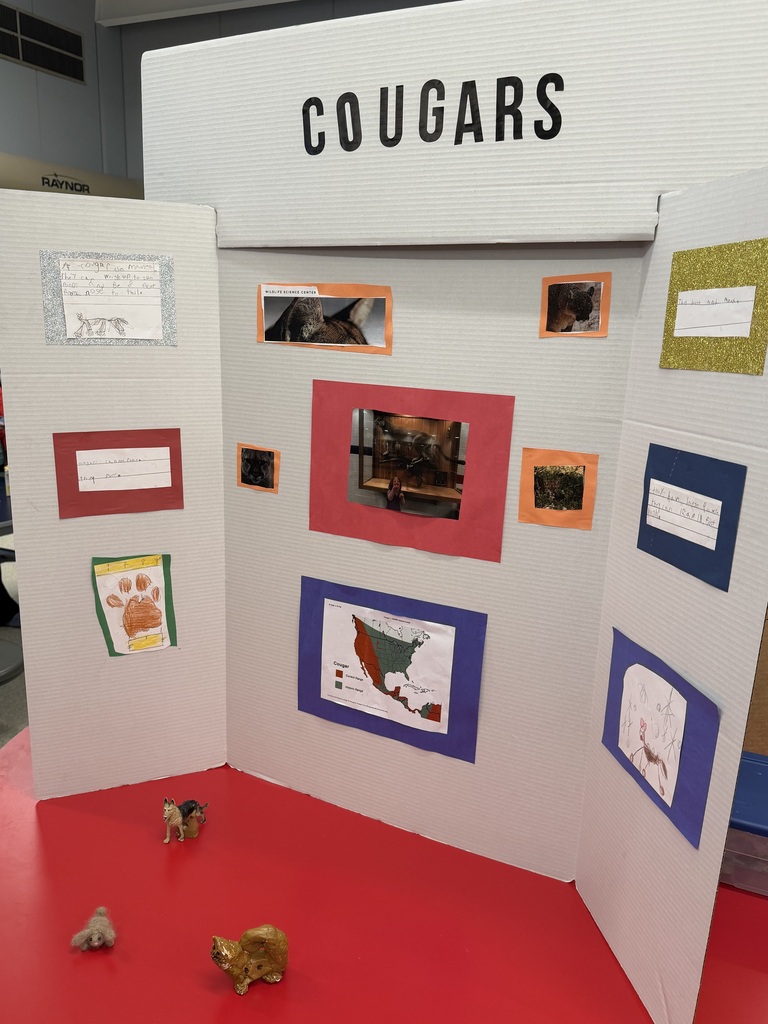 SES Science Fair