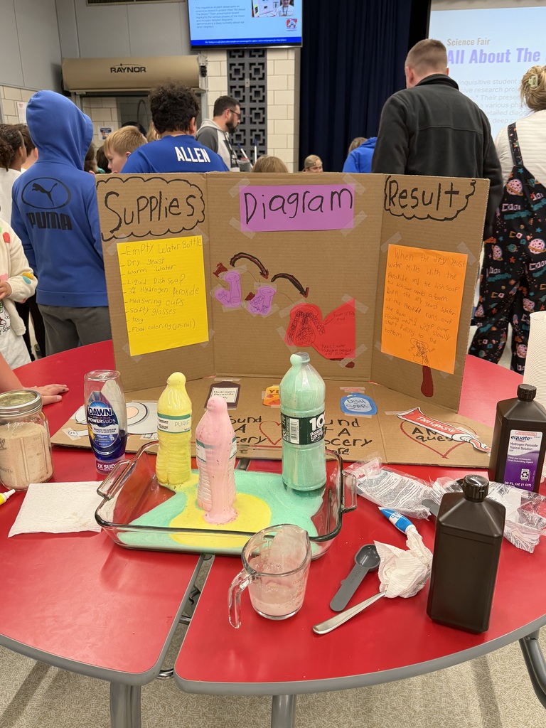 SES Science Fair