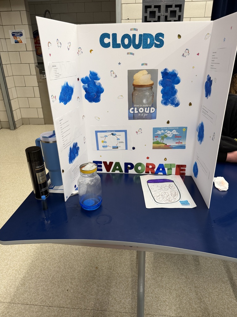 SES Science Fair