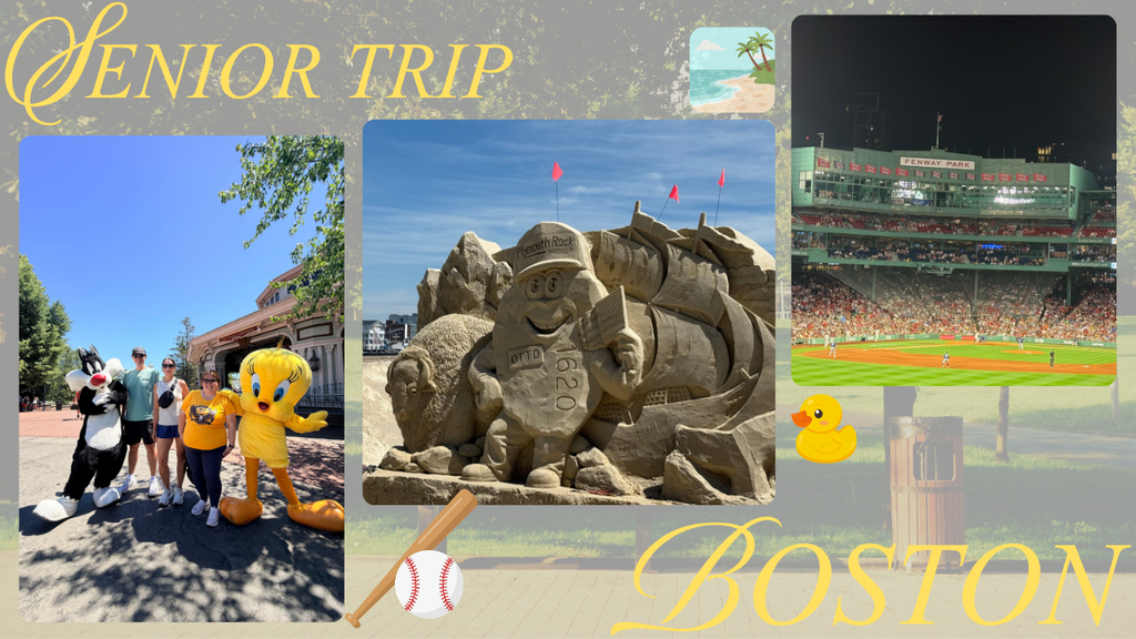 SENIOR TRIP