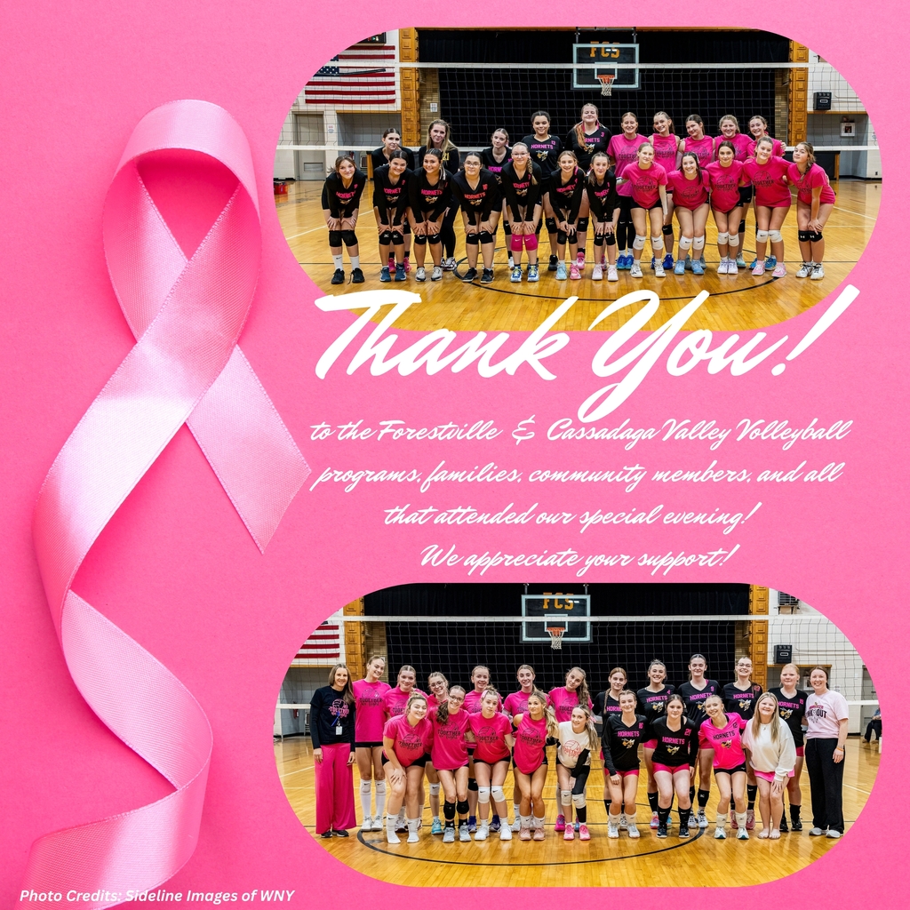 Forestville & Cassadaga Volleyball Teams