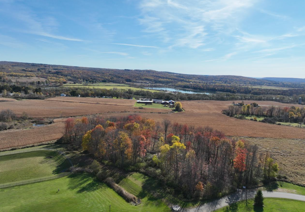 Fall View
