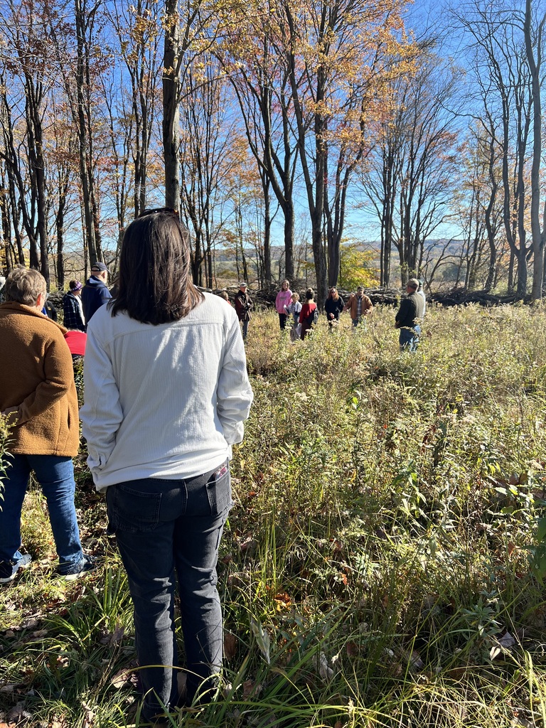 Cornell visit Research Forest