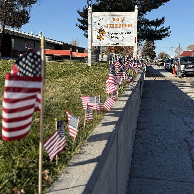 American flags line the sidewalk in front of Declo Junior High School for Veterans Day.
