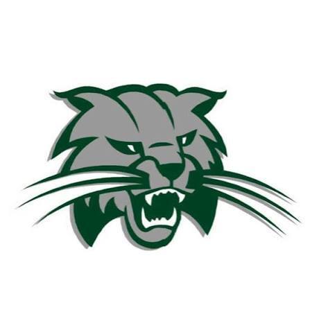 Burley Bobcat