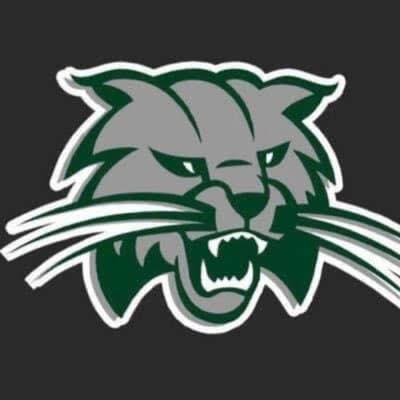 Burley Bobcat