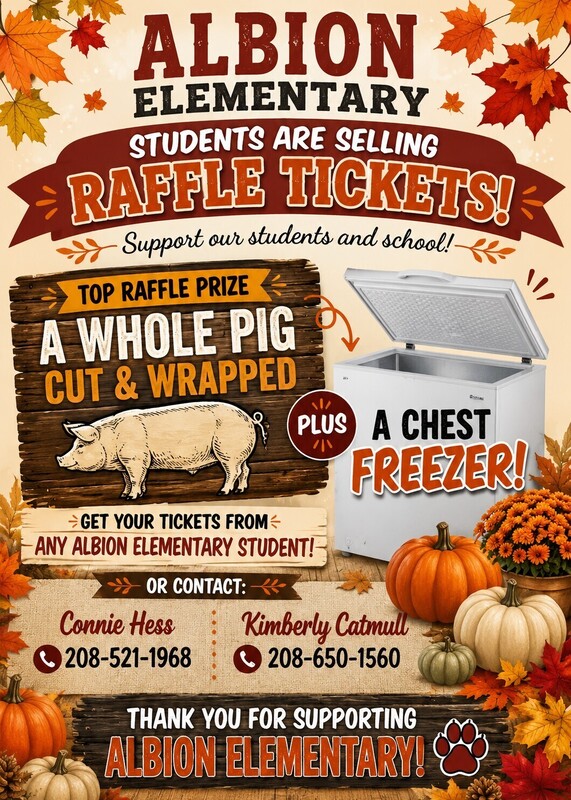 Fall-themed raffle flyer for Albion Elementary promoting tickets to win a whole pig and chest freezer, with contact information for ticket purchases.