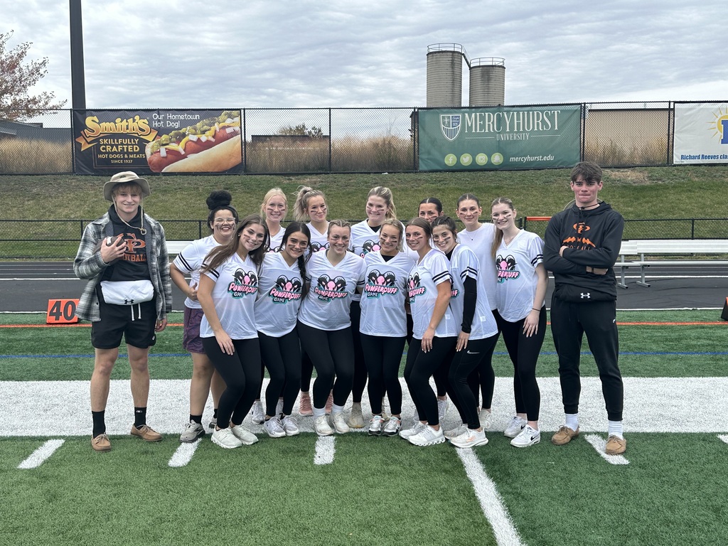 powderpuff