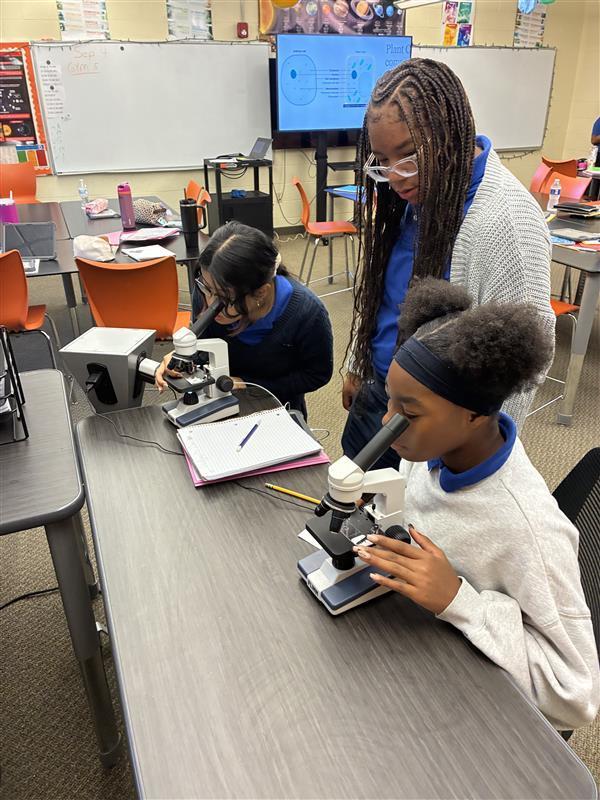 mta middle school mystery science