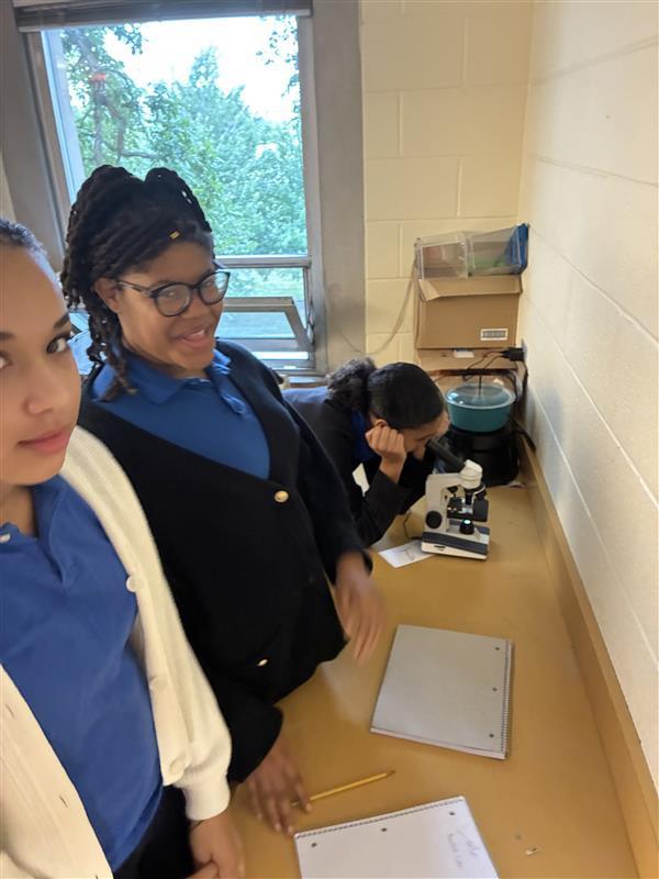 mta middle school mystery science