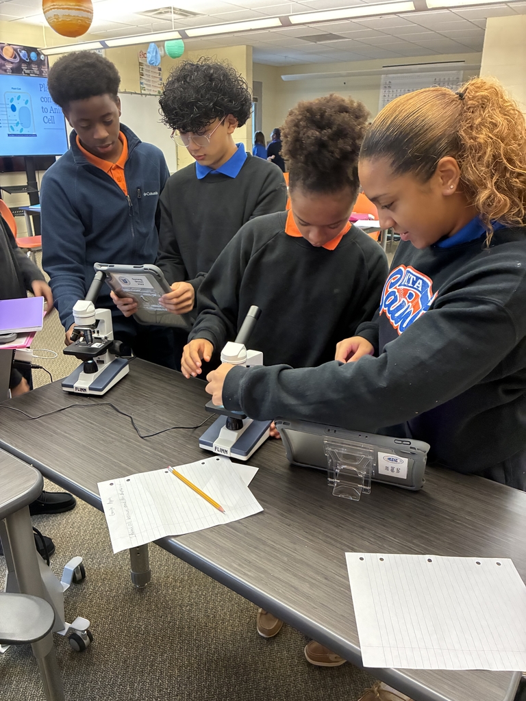 mta middle school mystery science