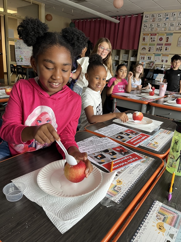 second grade apples