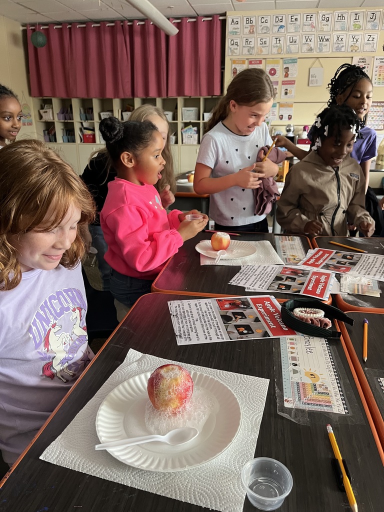 second grade apples