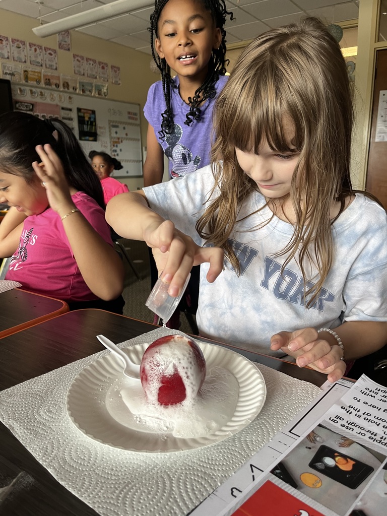 second grade apples
