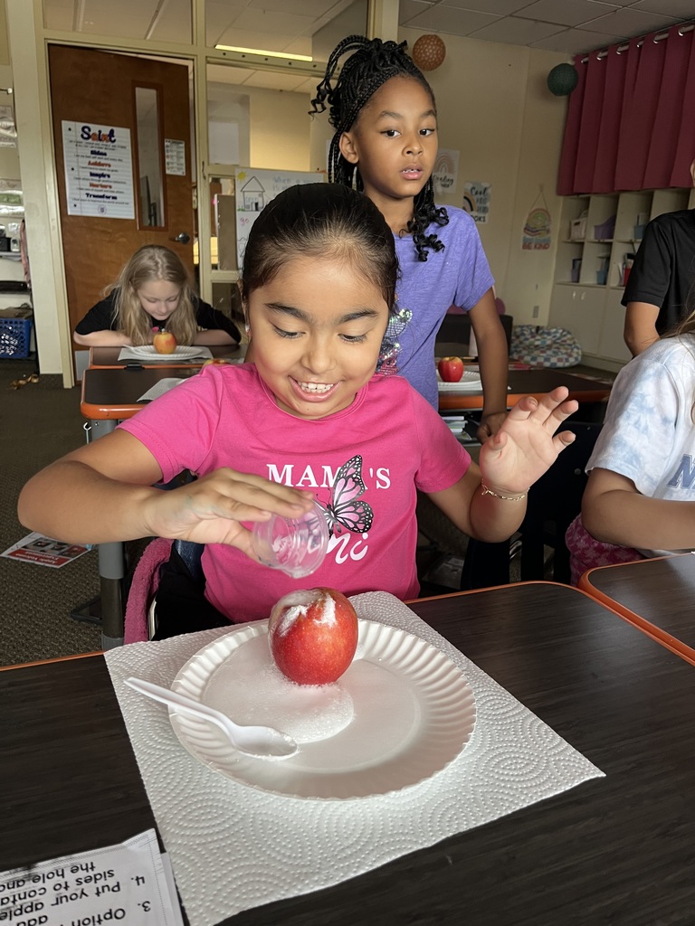 second grade apples