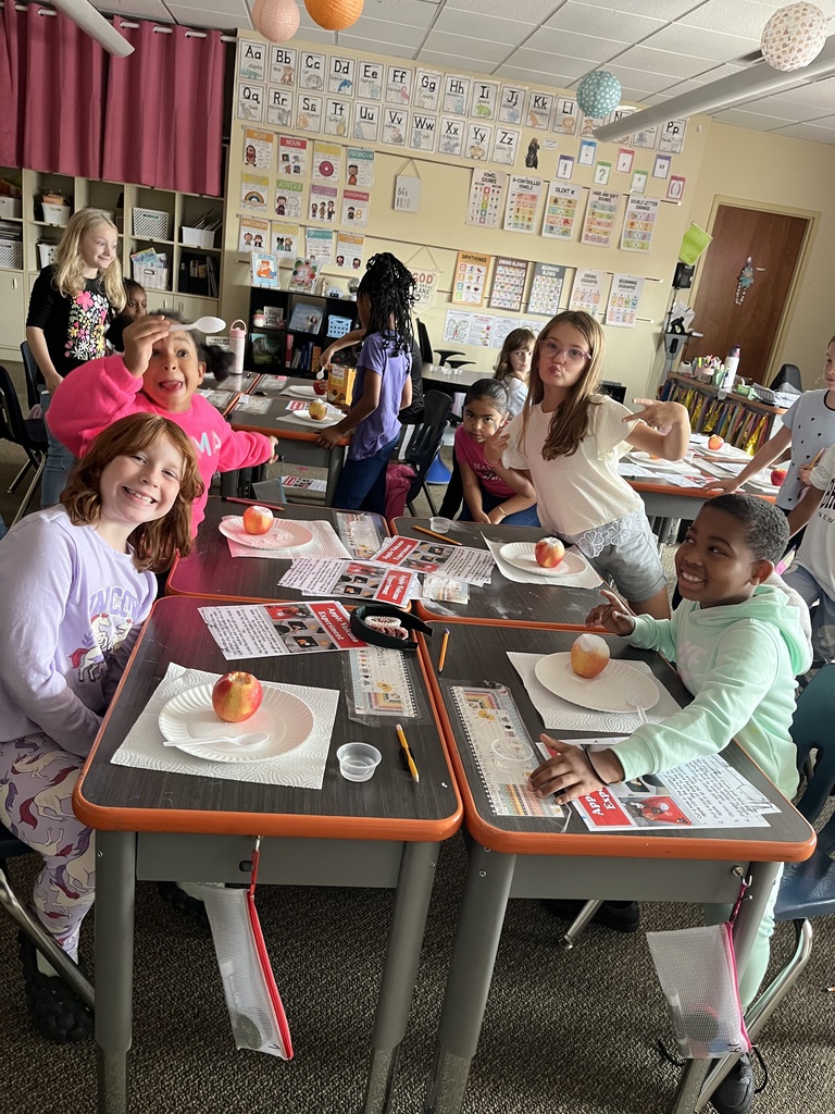 second grade apples