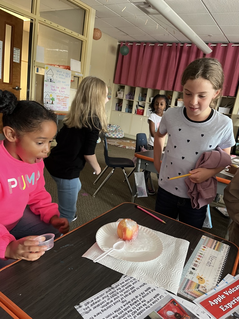 second grade apples