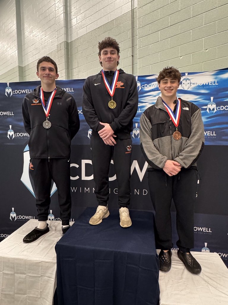 Terrizzi D-10 Diving Champ