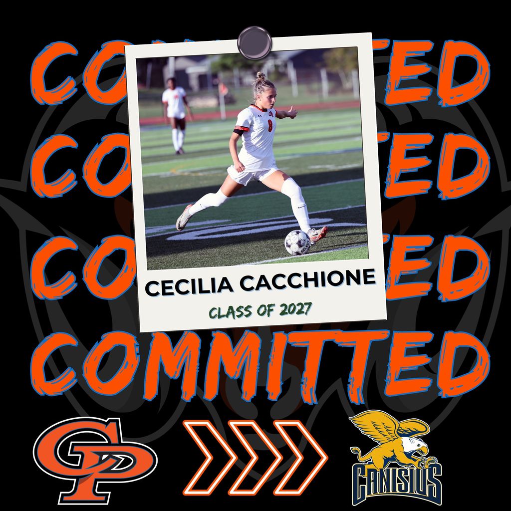 cc cacchione canisius