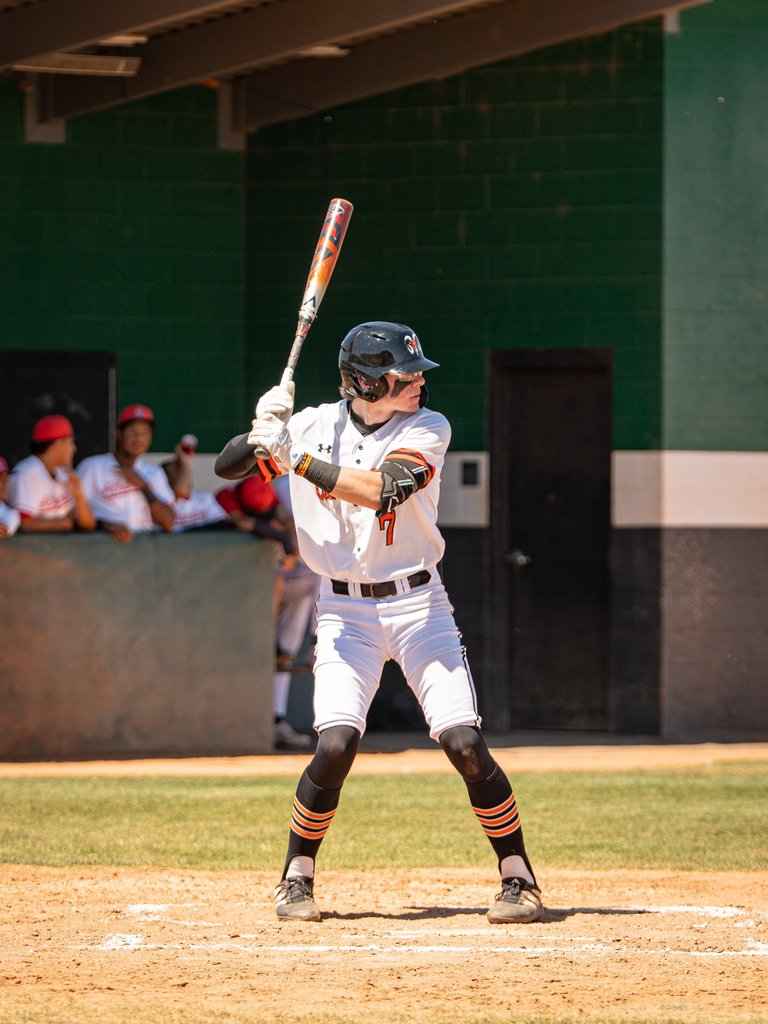 friedman wolves classic