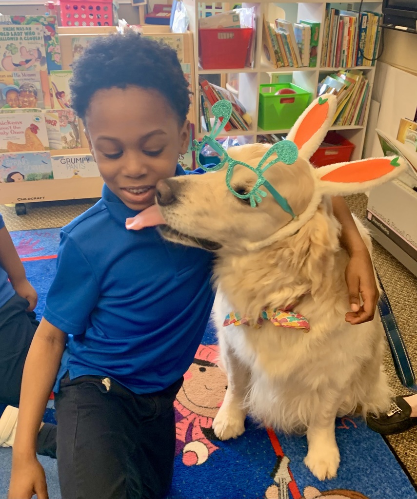 Kindergarten Therapy Dogs