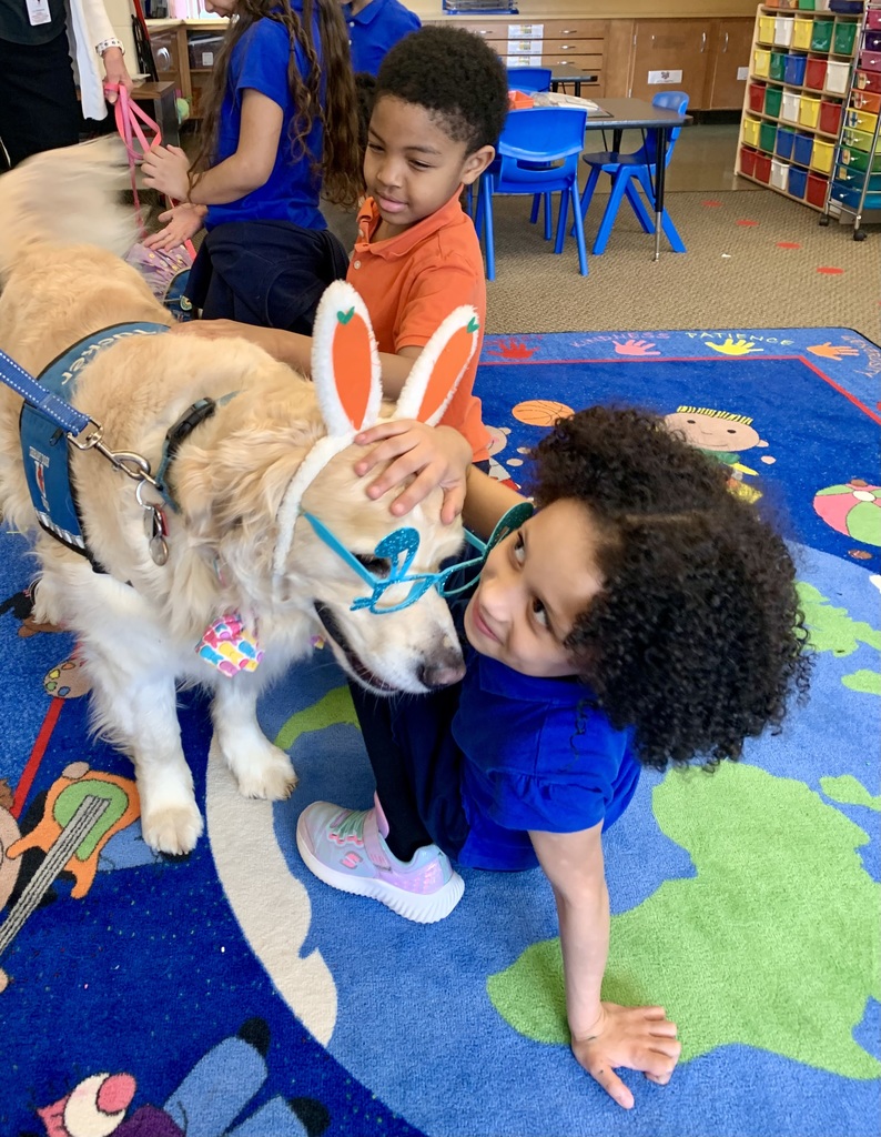 Kindergarten Therapy Dogs