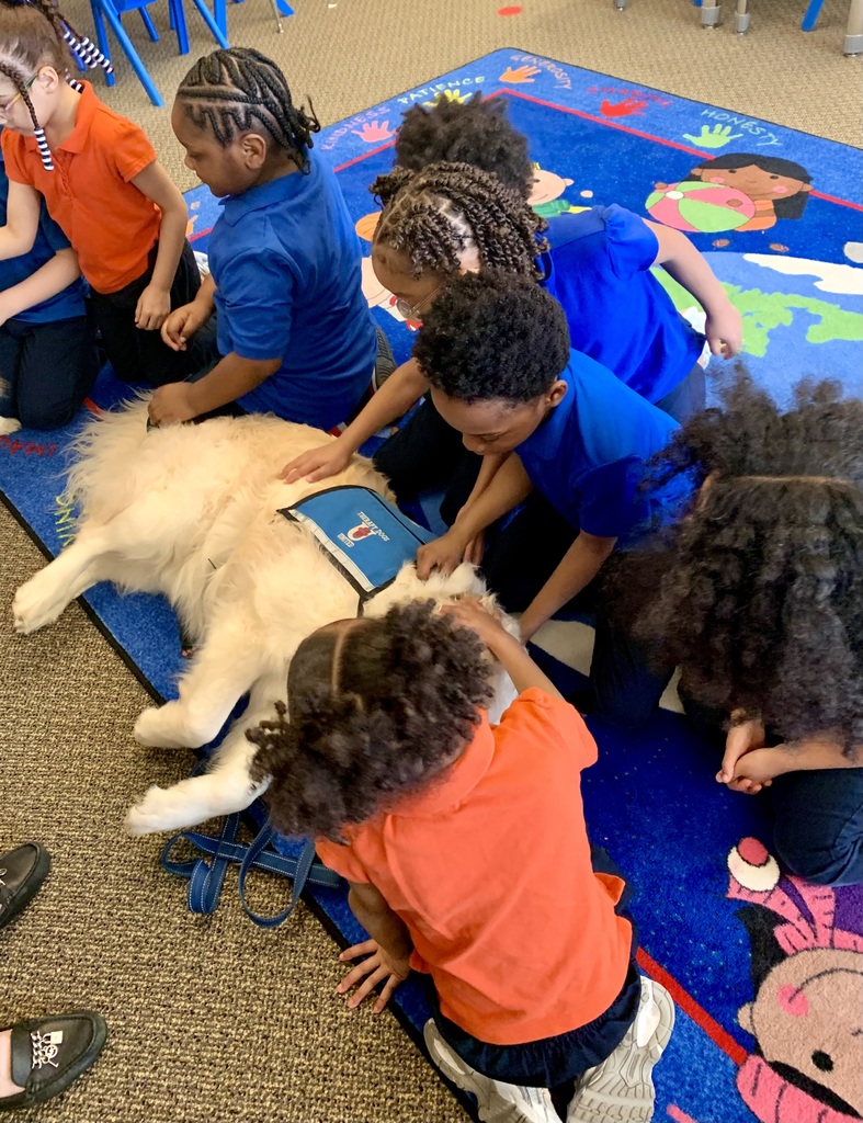 Kindergarten Therapy Dogs