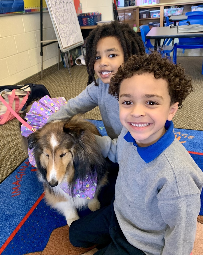 Kindergarten Therapy Dogs