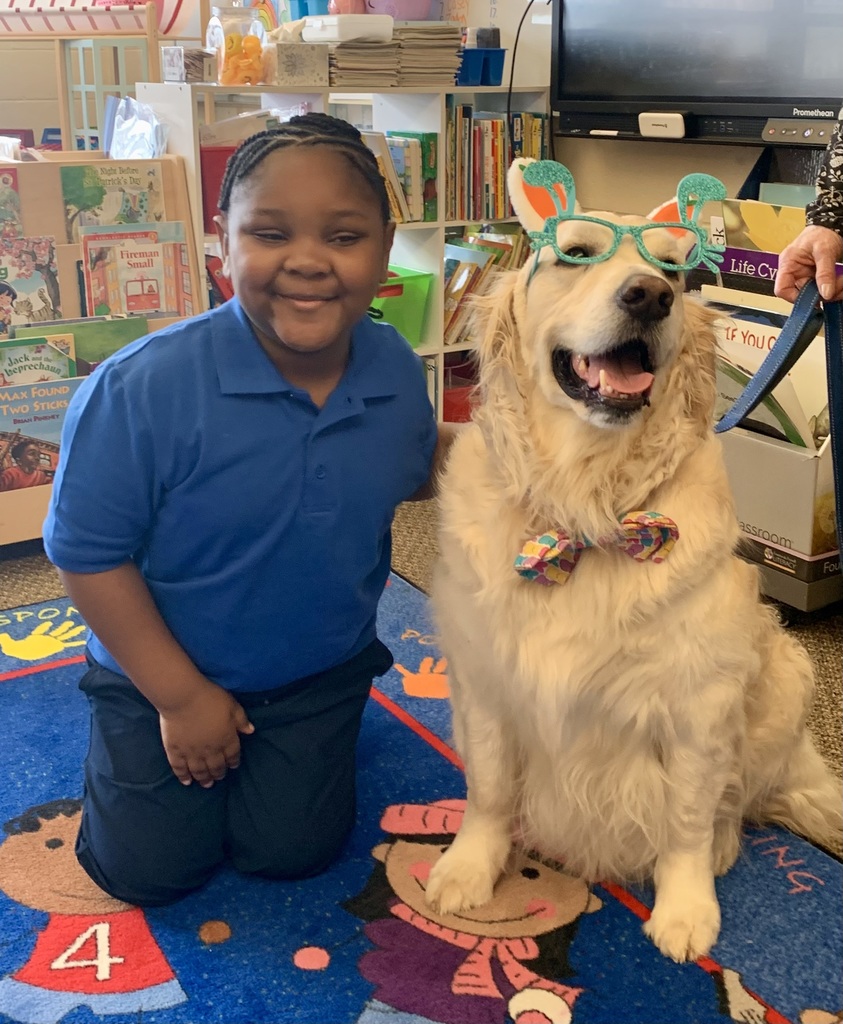 Kindergarten Therapy Dogs