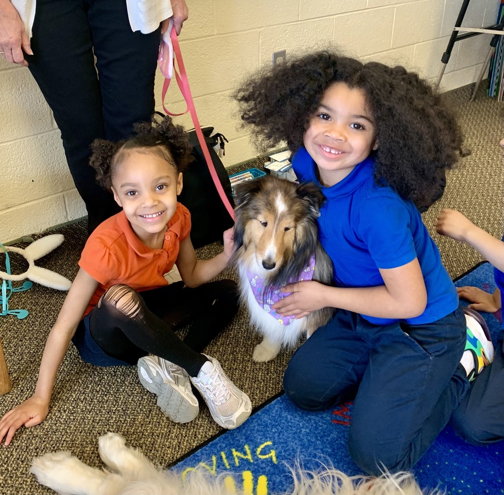 Kindergarten Therapy Dogs