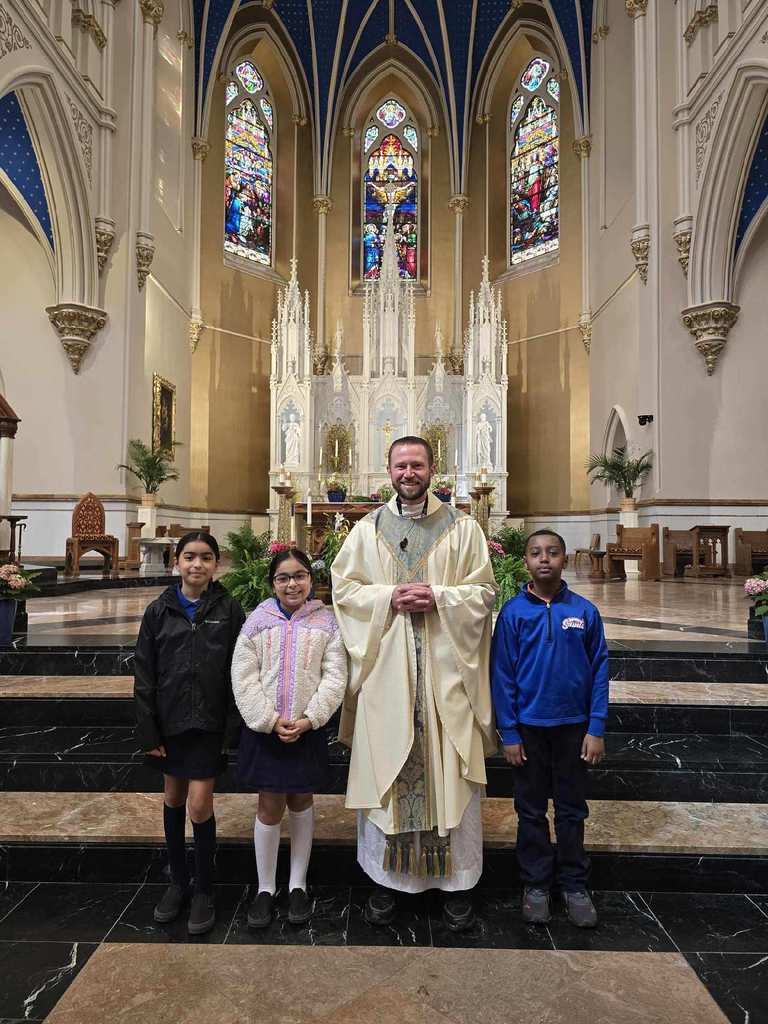mta mass