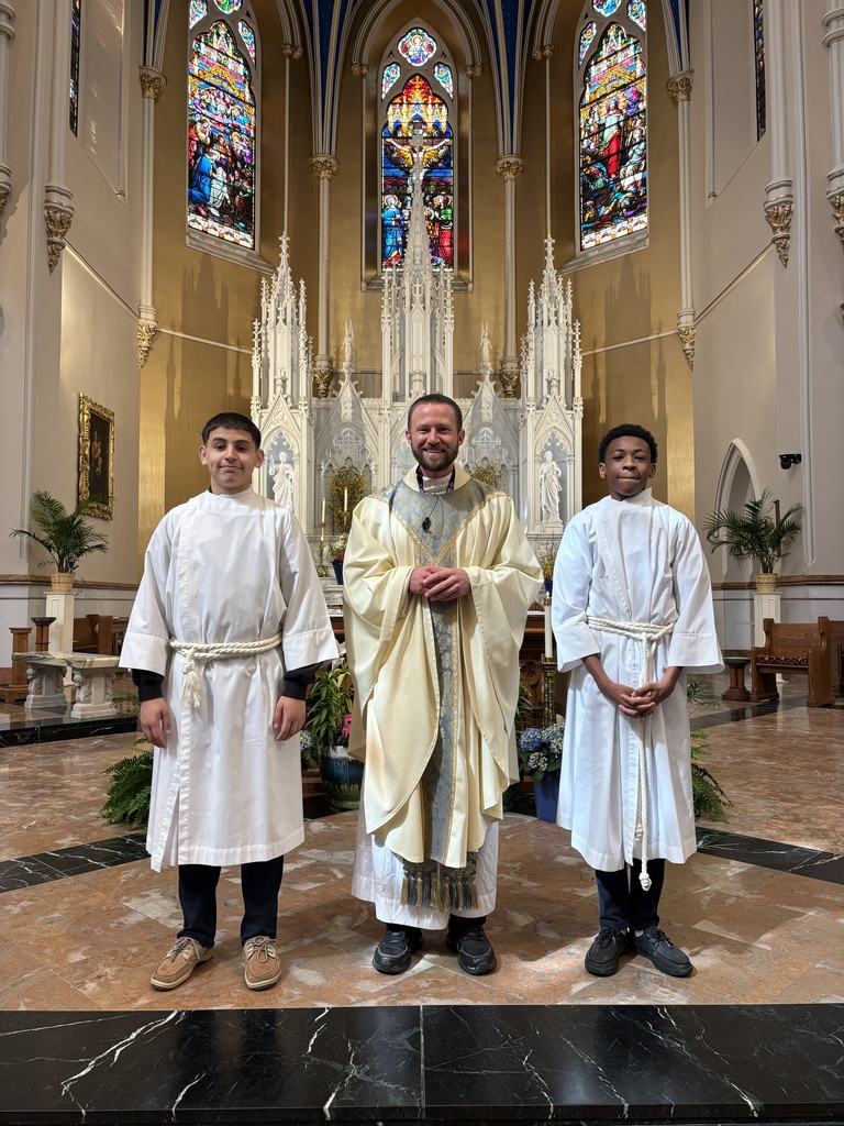 mta mass