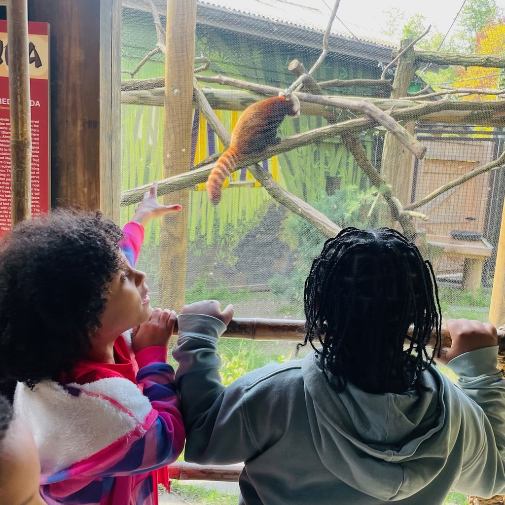 kindergarten zoo