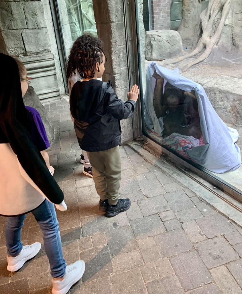 kindergarten zoo