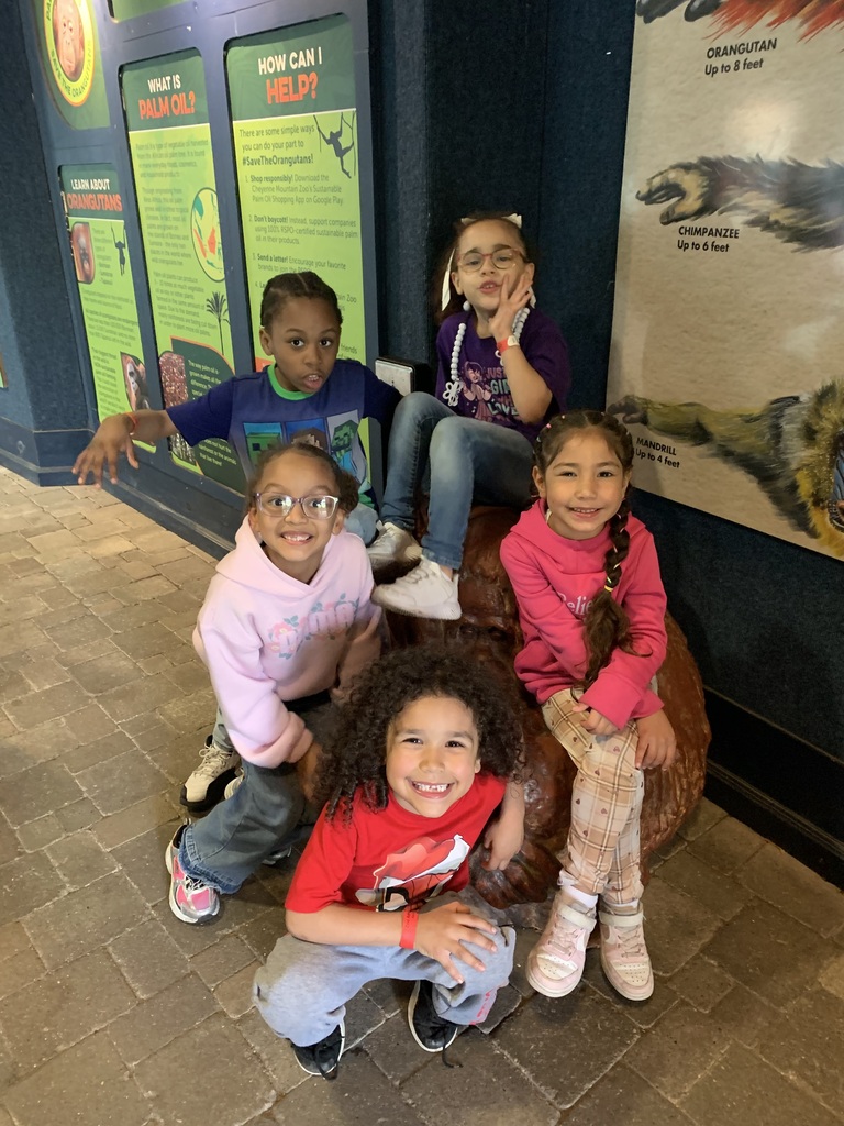 kindergarten zoo