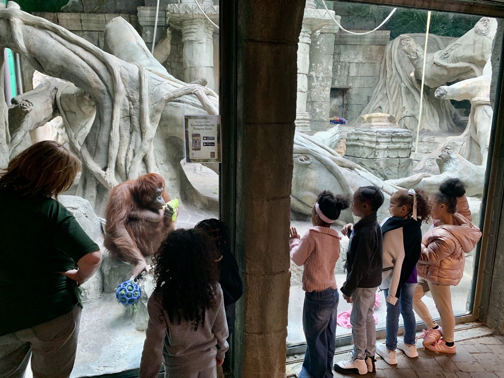kindergarten zoo