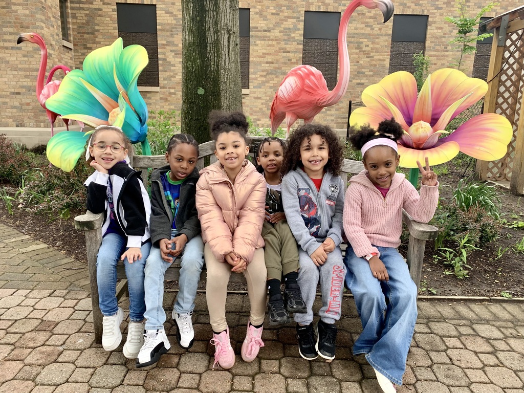 kindergarten zoo