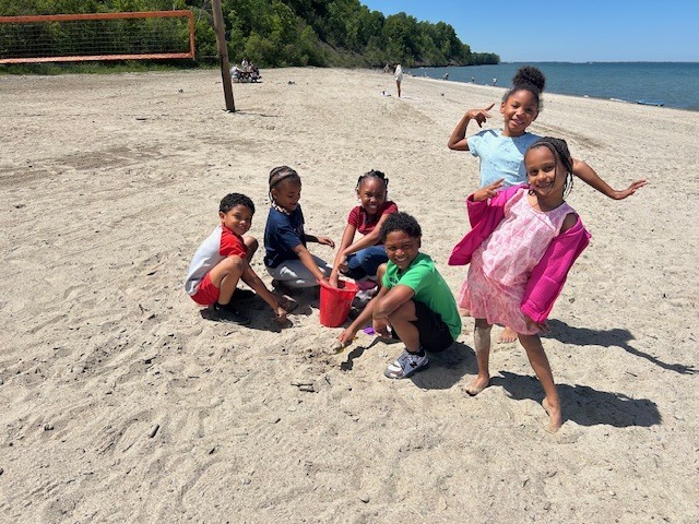 shades beach