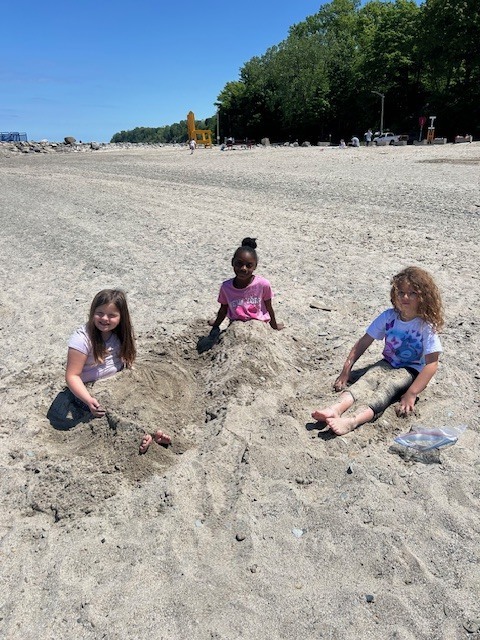 shades beach