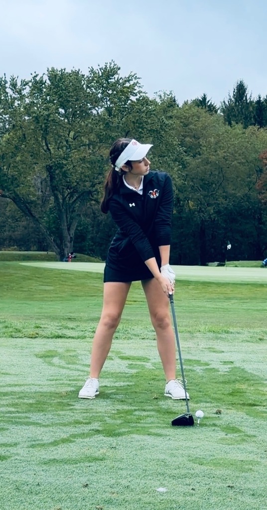 wgolf d10