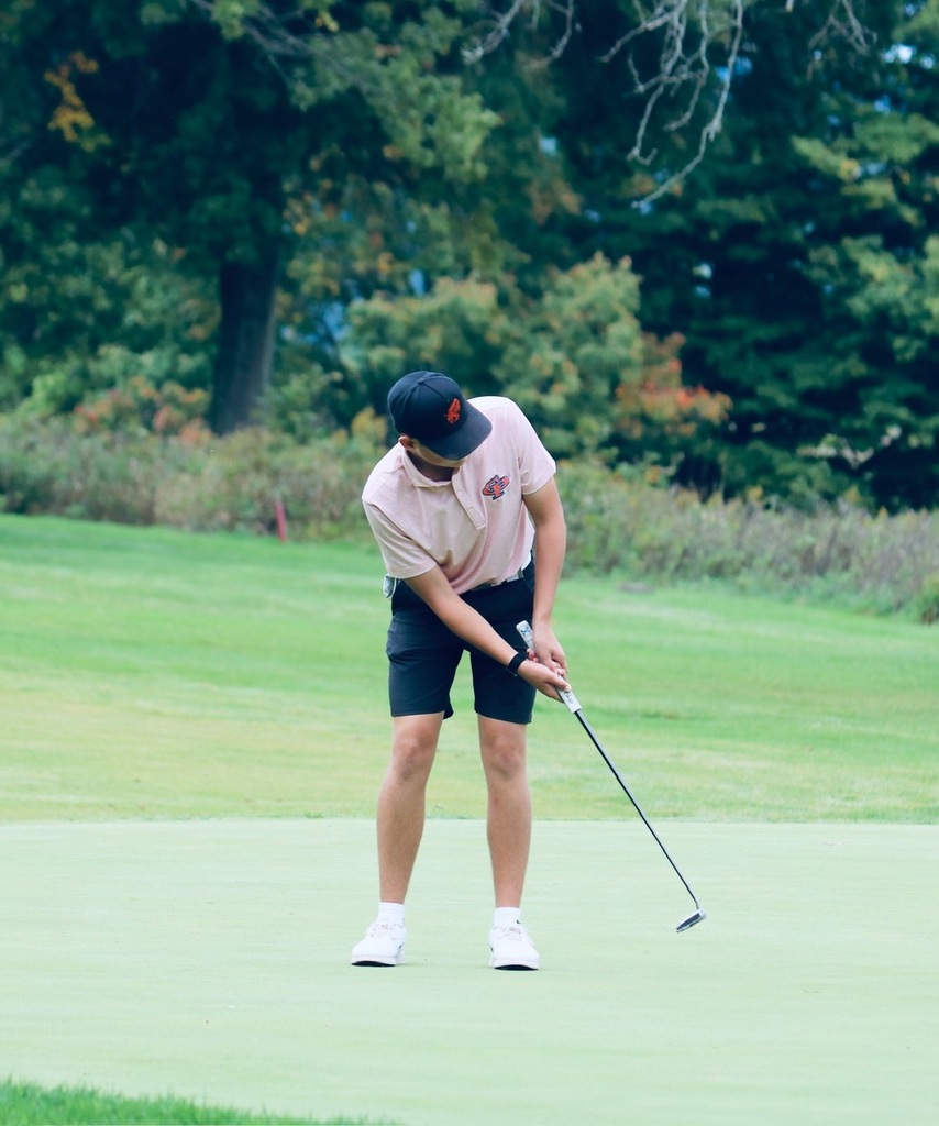 mgolf d-10