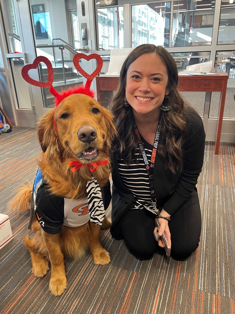 therapy dogs