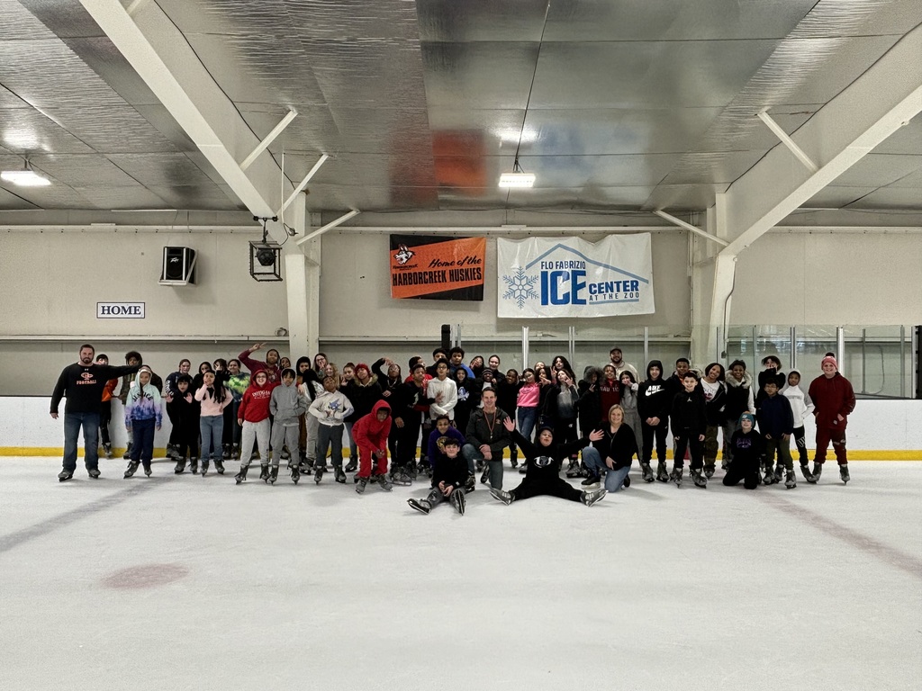 ice skate