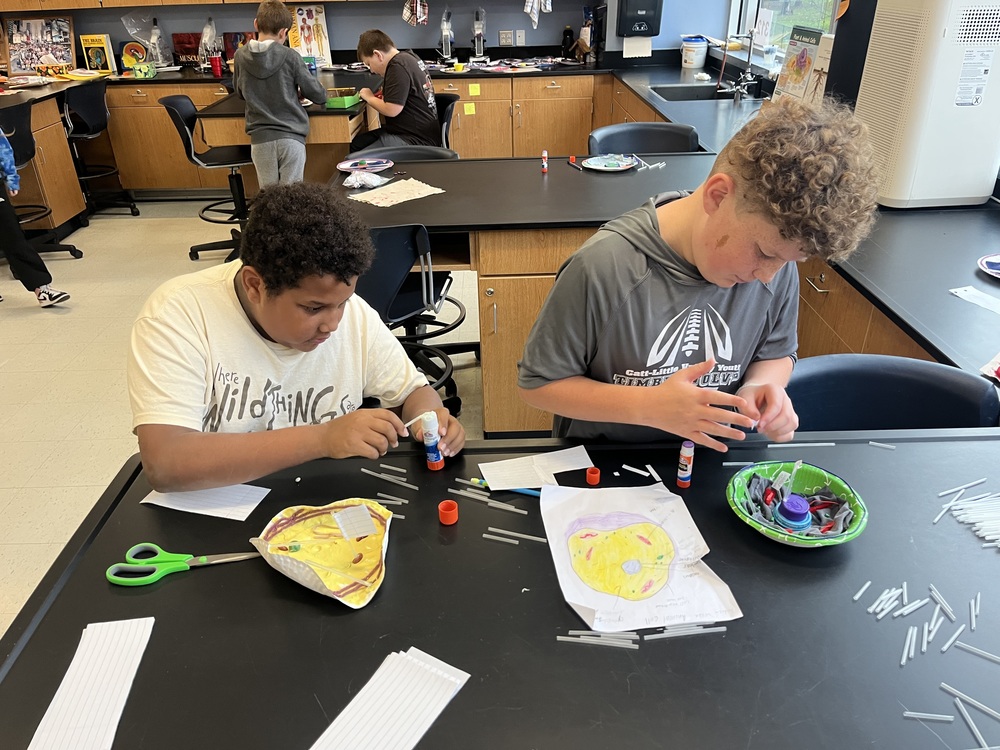 Students working on cell projects.