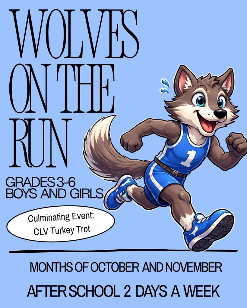 wolf pup running
