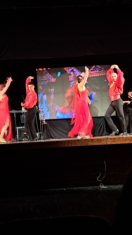 Flamenco performance