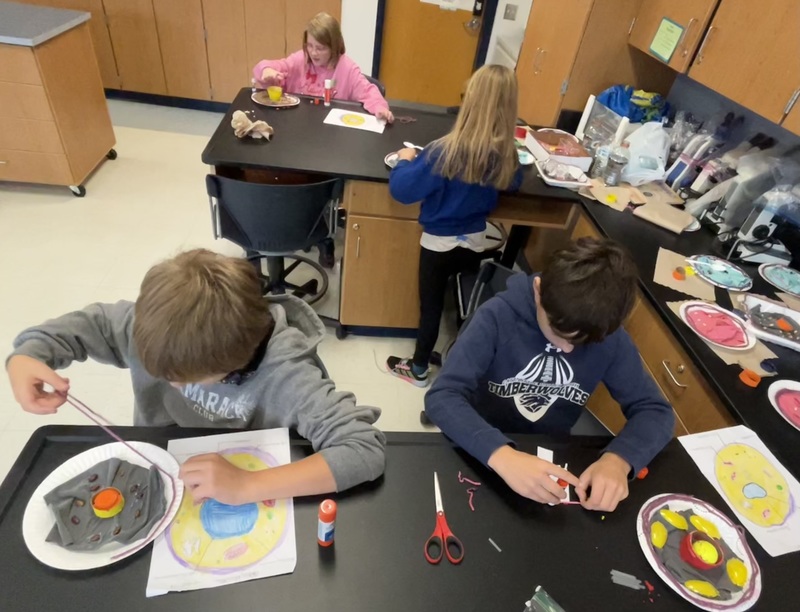 Students work on cell projects.