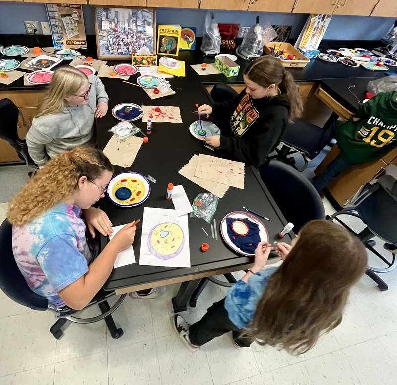 Students work on cell projects.