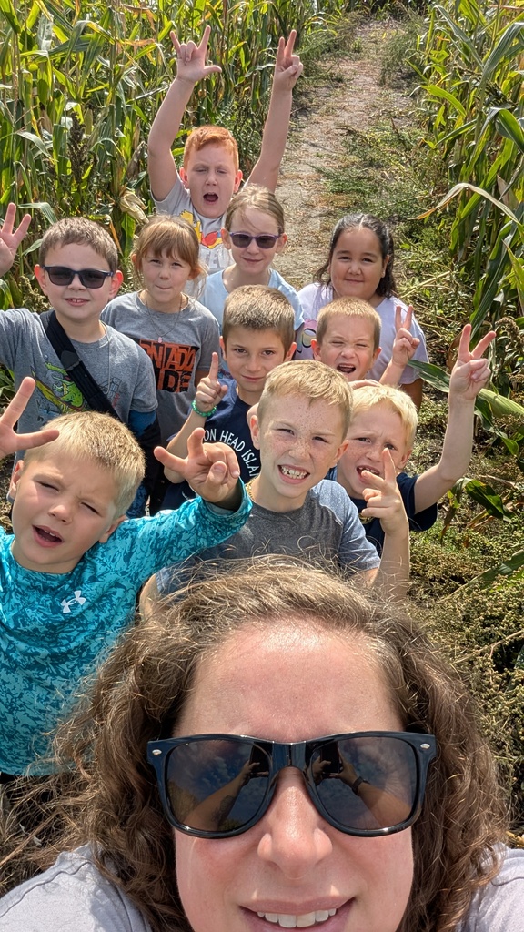 corn maze