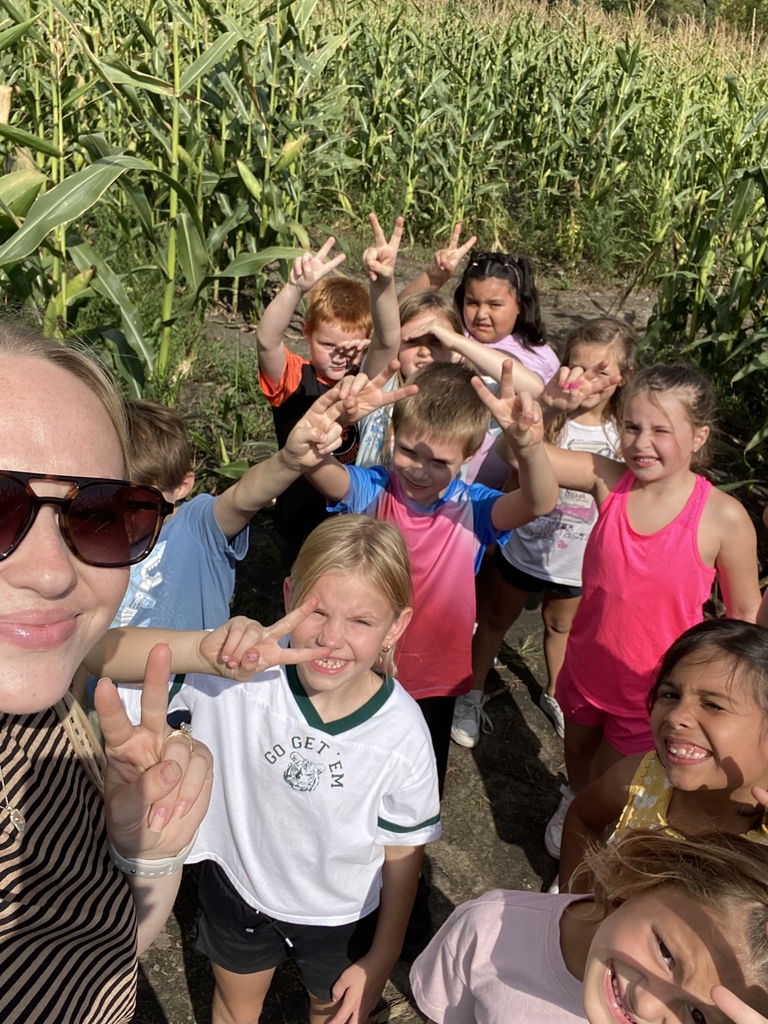 corn maze